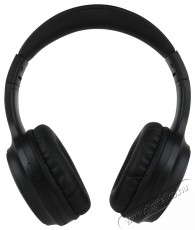 Sencor SEP PANNION ANC Black Audio-Video / Hifi / Multimédia - Fül és Fejhallgatók - Fejhallgató mikrofonnal / headset - 510205