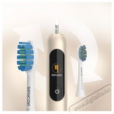 Sencor SOC 5011GD Elektromos fogkefe Sz&eacute;ps&eacute;g&aacute;pol&aacute;s / Eg&eacute;szs&eacute;g - Sz&aacute;j / fog &aacute;pol&aacute;s - Elektromos fogkefe - 525949
