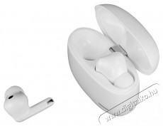 Sencor SEP MELLOW ANC TWS White Audio-Video / Hifi / Multimédia - Fül és Fejhallgatók - Fülhallgató - 519148