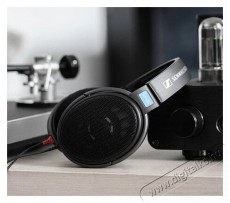 Sennheiser HD 600 fejhallgat&oacute; Audio-Video / Hifi / Multim&eacute;dia - F&uuml;l &eacute;s Fejhallgat&oacute;k - Fejhallgat&oacute; - 334443