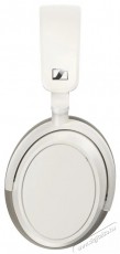 Sennheiser ACCENTUM Plus Wireless White Újdonságok - Új termékek - 510209