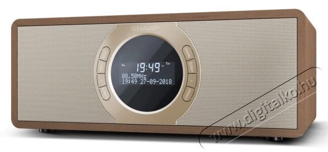 SHARP DR-I470 BR PRO INTERNET/DAB+ Rádió - barna Audio-Video / Hifi / Multimédia - Rádió / órás rádió - Internet webrádió - 364254
