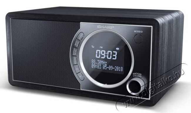SHARP DR-450BK DAB+/ RDS FM rádió - fekete Audio-Video / Hifi / Multimédia - Rádió / órás rádió - Internet webrádió - 369928