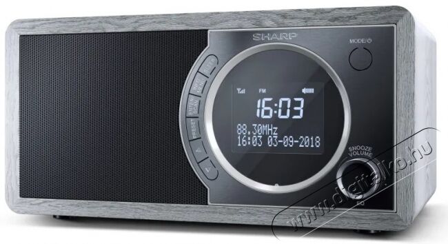 SHARP DR-450GR DAB+/ RDS FM rádió Audio-Video / Hifi / Multimédia - Rádió / órás rádió - Asztali rádió - 369929