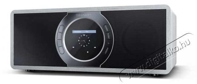 SHARP DR-I470 GR PRO internet/dab + rádió - szürke Audio-Video / Hifi / Multimédia - Rádió / órás rádió - Internet webrádió - 380183