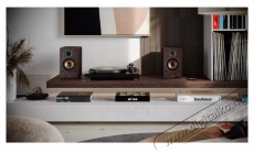 SHARP CP-SS30BR 2.0 Polchangszóró - barna Audio-Video / Hifi / Multimédia - Hangfal - Hangfalszett - Polc / állványos/ háttér hangsugárzó - 403808