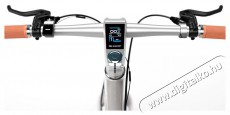 SHARP BK-RS08-ES Hybrid e-Bike ezüst metál Háztartás / Otthon / Kültér - Játék / Sport - Roller / segway / gördeszka - 499543