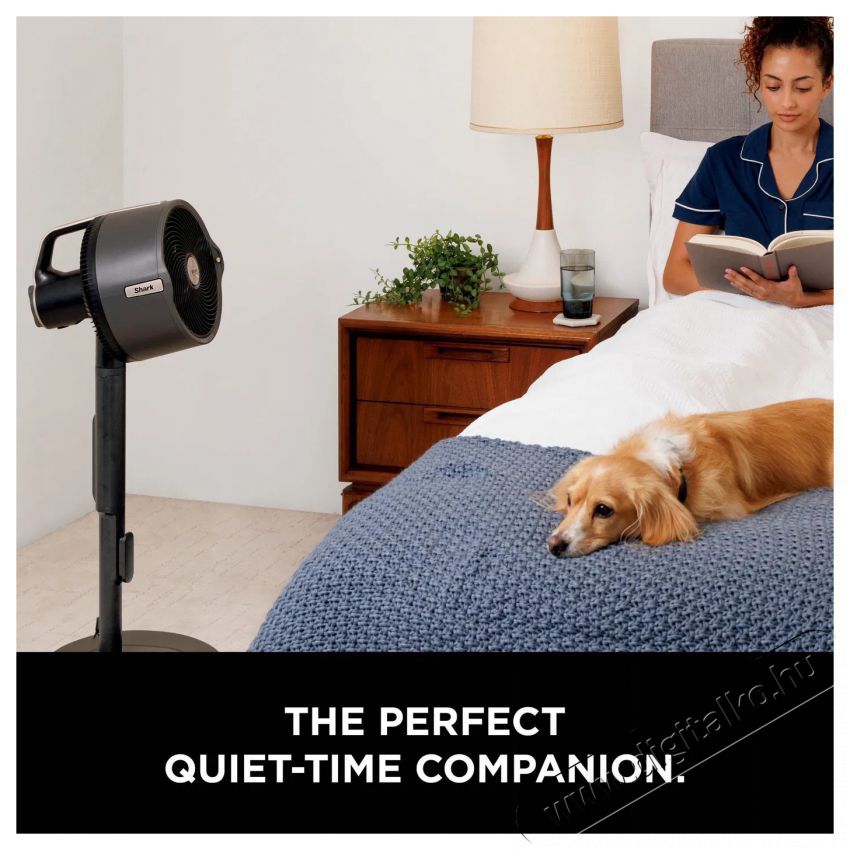 Shark FA300EU FlexBreeze Pro Mist H&aacute;ztart&aacute;s / Otthon / K&uuml;lt&eacute;r - Ventil&aacute;tor / L&eacute;gkondicion&aacute;l&oacute; - &Aacute;ll&oacute; / padl&oacute; ventil&aacute;tor - 521441