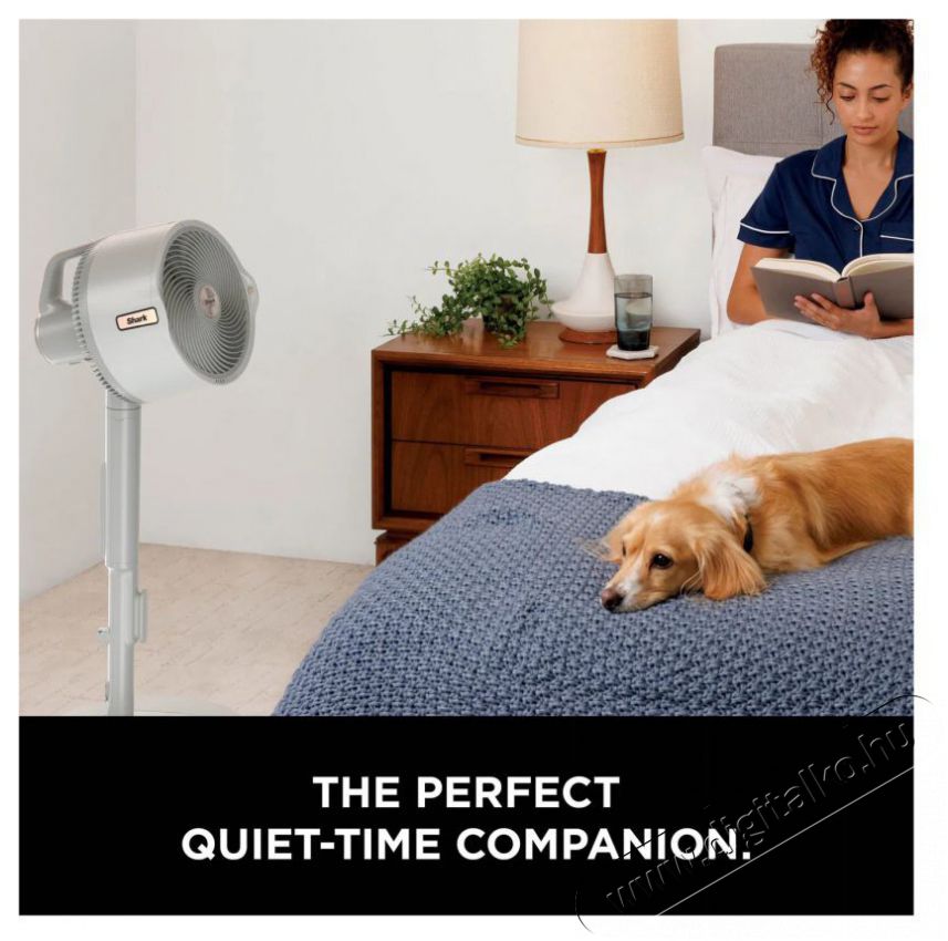 Shark FA300EUWH FlexBreeze Pro Mist H&aacute;ztart&aacute;s / Otthon / K&uuml;lt&eacute;r - Ventil&aacute;tor / L&eacute;gkondicion&aacute;l&oacute; - &Aacute;ll&oacute; / padl&oacute; ventil&aacute;tor - 521442