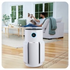 Shark HP300EU Never Change Sz&eacute;ps&eacute;g&aacute;pol&aacute;s / Eg&eacute;szs&eacute;g - L&eacute;gtiszt&iacute;t&oacute; / p&aacute;r&aacute;s&iacute;t&oacute; / p&aacute;r&aacute;tlan&iacute;t&oacute; - L&eacute;gtiszt&iacute;t&oacute; - 521443