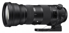 Sigma Canon 150-600/5-6.3 (C) DG OS HSM (196353) Fot&oacute;-Vide&oacute; kieg&eacute;sz&iacute;tők - Objekt&iacute;v - Zoom objekt&iacute;v - 495349