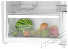 Siguro TF-J240S Fresh Hűtőszekrény Konyhai termékek - Hűtő, fagyasztó (szabadonálló) - Felülfagyasztós kombinált hűtő - 500672