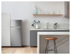 Siguro TF-J240S Fresh Hűtőszekrény Konyhai termékek - Hűtő, fagyasztó (szabadonálló) - Felülfagyasztós kombinált hűtő - 500672