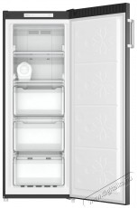 Siguro UF-D310S Fast Freeze 166 Konyhai termékek - Hűtő, fagyasztó (szabadonálló) - Fagyasztószekrény - 505563