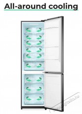 Siguro BF-A241Y Premium Konyhai termékek - Hűtő, fagyasztó (szabadonálló) - Alulfagyasztós kombinált hűtő - 509294