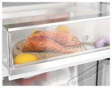 Siguro BF-A241Y Premium Konyhai termékek - Hűtő, fagyasztó (szabadonálló) - Alulfagyasztós kombinált hűtő - 509294