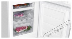 Siguro BF-C241W Essentials Konyhai termékek - Hűtő, fagyasztó (szabadonálló) - Alulfagyasztós kombinált hűtő - 509288