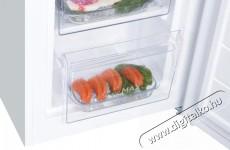 Siguro BF-C241W Essentials Konyhai termékek - Hűtő, fagyasztó (szabadonálló) - Alulfagyasztós kombinált hűtő - 509288