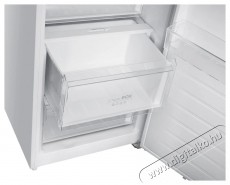 Siguro MC-D241W Ideal Konyhai termékek - Hűtő, fagyasztó (szabadonálló) - Fagyasztó nélküli hűtő - 509416