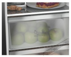 Siguro MD-C231Y Premium Konyhai termékek - Hűtő, fagyasztó (szabadonálló) - Amerikai típusú Side By Side hűtő - 509332
