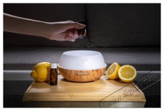 Siguro AD-F300LW Anise Swallowtail Aroma diff&uacute;zor Sz&eacute;ps&eacute;g&aacute;pol&aacute;s / Eg&eacute;szs&eacute;g - L&eacute;gtiszt&iacute;t&oacute; / p&aacute;r&aacute;s&iacute;t&oacute; / p&aacute;r&aacute;tlan&iacute;t&oacute; - P&aacute;r&aacute;s&iacute;t&oacute; - 526023