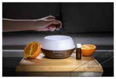 Siguro AD-F301DW Small Copper Aroma diff&uacute;zor Sz&eacute;ps&eacute;g&aacute;pol&aacute;s / Eg&eacute;szs&eacute;g - L&eacute;gtiszt&iacute;t&oacute; / p&aacute;r&aacute;s&iacute;t&oacute; / p&aacute;r&aacute;tlan&iacute;t&oacute; - P&aacute;r&aacute;s&iacute;t&oacute; - 526024