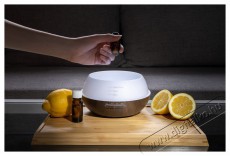 Siguro AD-G411DW California Crescent Aroma diff&uacute;zor Sz&eacute;ps&eacute;g&aacute;pol&aacute;s / Eg&eacute;szs&eacute;g - L&eacute;gtiszt&iacute;t&oacute; / p&aacute;r&aacute;s&iacute;t&oacute; / p&aacute;r&aacute;tlan&iacute;t&oacute; - P&aacute;r&aacute;s&iacute;t&oacute; - 526030