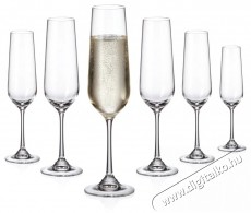 Siguro Locus pezsgőspohár készlet, 200 ml, 6 darab Konyhai termékek - Konyhai eszköz - Egyéb konyhai eszköz - 526056