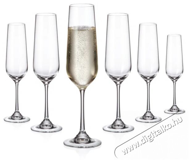 Siguro Locus pezsgőspohár készlet, 200 ml, 6 darab Konyhai termékek - Konyhai eszköz - Egyéb konyhai eszköz - 526056