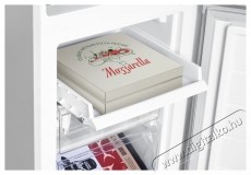 Siguro BF-E251W Hűtőszekrény Konyhai termékek - Hűtő, fagyasztó (szabadonálló) - Alulfagyasztós kombinált hűtő - 531206