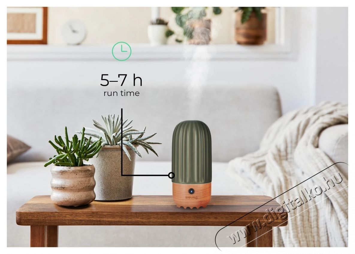 Siguro AD-C680E Dainty Cactus ker&aacute;mia Aroma diff&uacute;zor Fot&oacute;-Vide&oacute; kieg&eacute;sz&iacute;tők - F&eacute;nyterelő - Diff&uacute;zor - 532189