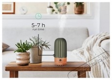 Siguro AD-C680E Dainty Cactus ker&aacute;mia Aroma diff&uacute;zor Fot&oacute;-Vide&oacute; kieg&eacute;sz&iacute;tők - F&eacute;nyterelő - Diff&uacute;zor - 532189
