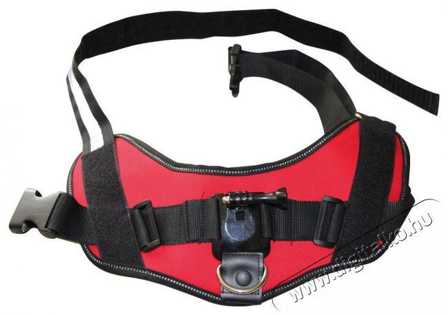 SJ/GP SJ/GP-168 kutyahám 1 rögzítési ponttal, sportkamerás csatlakozási lehetőséggel (SJCAM, GoPro) Fényképezőgép / kamera - Sport kamera tartozékok - Rögzítő / adapter - 303796