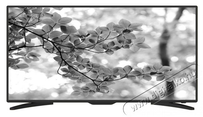 Smart-Tech LE-4318 LED televízió Televíziók - LED televízió - 1080p Full HD felbontású - 306729