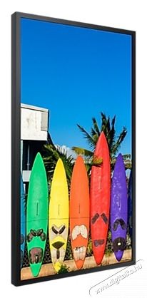 SAMSUNG SAMSUNG Window Signage OMB 55 Iroda &eacute;s sz&aacute;m&iacute;t&aacute;stechnika - Monitor - Professzion&aacute;lis LED kijelző - 482770