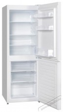 SNAIGE RF23SM-PT002E Konyhai termékek - Hűtő, fagyasztó (szabadonálló) - Alulfagyasztós kombinált hűtő - 509428