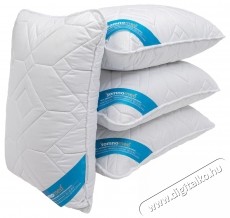 Somnart Somnomed P&aacute;rna, 50x70 cm, antimikrob&aacute;lis &eacute;s gombaellenes, 95&deg;C-on moshat&oacute;, 4db - Sz&eacute;ps&eacute;g&aacute;pol&aacute;s / Eg&eacute;szs&eacute;g - Egy&eacute;b sz&eacute;ps&eacute;g / eg&eacute;szs&eacute;g term&eacute;k - 537331