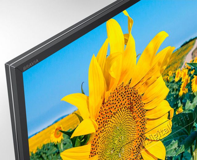 SONY KD-49XF8096BAEP Ultra HD Smart LED televízió Televíziók - LED televízió - UHD 4K felbontású - 339659