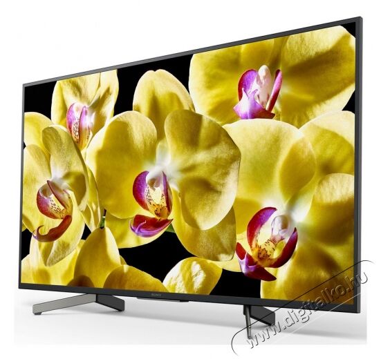 SONY 43 KD-43XG8096BAEP 4K HDR Android Smart LED televízió Televíziók - LED televízió - UHD 4K felbontású - 351481