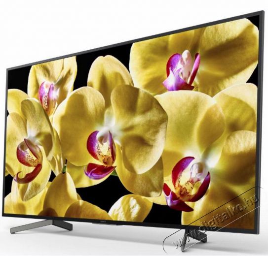 SONY KD-65XG8096BAEP 4K HDR Android Smart LED televízió Televíziók - LED televízió - UHD 4K felbontású - 351209