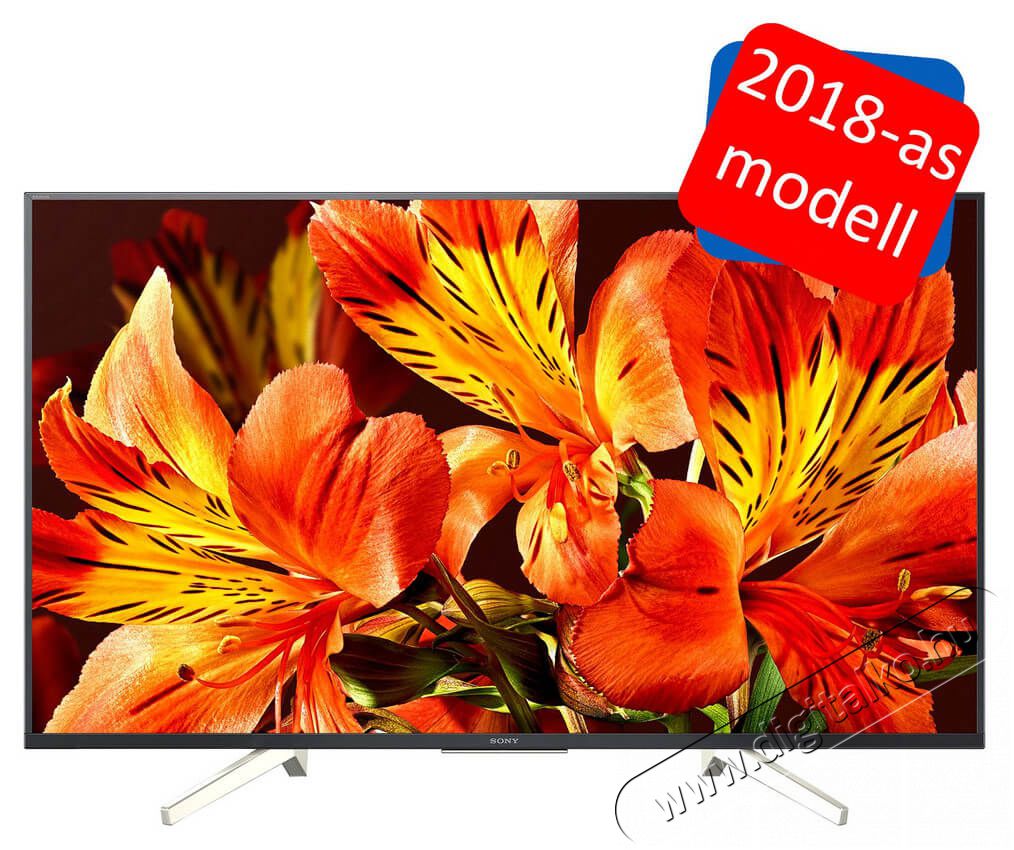 SONY KD-43XF8505BAEP Ultra HD Android Smart LED televízió Televíziók - LED televízió - UHD 4K felbontású - 339657