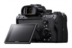 SONY Alpha 7 III (ILCE-7M3B) váz Fényképezőgép / kamera - DSLR tükörreflexes fényképezőgép - 344664