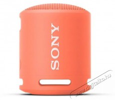 SONY SRSXB13P.CE7 vezeték nélküli hangszóró - rózsaszín Audio-Video / Hifi / Multimédia - Hordozható, vezeték nélküli / bluetooth hangsugárzó - Hordozható, vezeték nélküli / bluetooth hangsugárzó - 380513