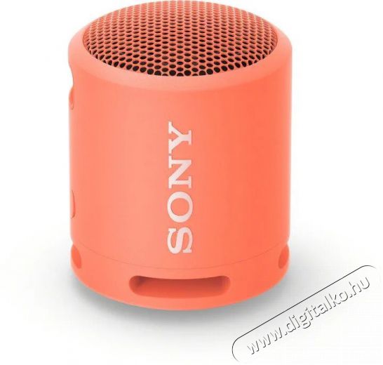 SONY SRSXB13P.CE7 vezeték nélküli hangszóró - rózsaszín Audio-Video / Hifi / Multimédia - Hordozható, vezeték nélküli / bluetooth hangsugárzó - Hordozható, vezeték nélküli / bluetooth hangsugárzó - 380513