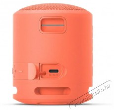 SONY SRSXB13P.CE7 vezeték nélküli hangszóró - rózsaszín Audio-Video / Hifi / Multimédia - Hordozható, vezeték nélküli / bluetooth hangsugárzó - Hordozható, vezeték nélküli / bluetooth hangsugárzó - 380513