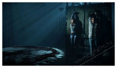 SONY Until Dawn PS HITS PS4 játékszoftver Iroda és számítástechnika - Játék konzol - Playstation 4 (PS4) játék - 384747