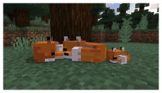 SONY Minecraft Starter Collection PS4 játékszoftver Iroda és számítástechnika - Játék konzol - Playstation 4 (PS4) játék - 440685