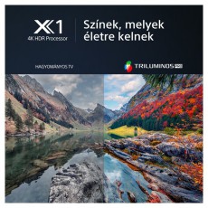 SONY 55 KD55X80LAEP 4K UHD Smart LED TV Televíziók - LED televízió - UHD 4K felbontású - 501529