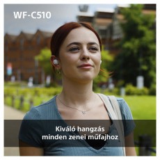 SONY WFC510L.CE7 True Wireless Bluetooth kék fülhallgató Audio-Video / Hifi / Multimédia - Hordozható, vezeték nélküli / bluetooth hangsugárzó - Hordozható, vezeték nélküli / bluetooth hangsugárzó - 507125