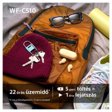 SONY WFC510L.CE7 True Wireless Bluetooth kék fülhallgató Audio-Video / Hifi / Multimédia - Hordozható, vezeték nélküli / bluetooth hangsugárzó - Hordozható, vezeték nélküli / bluetooth hangsugárzó - 507125